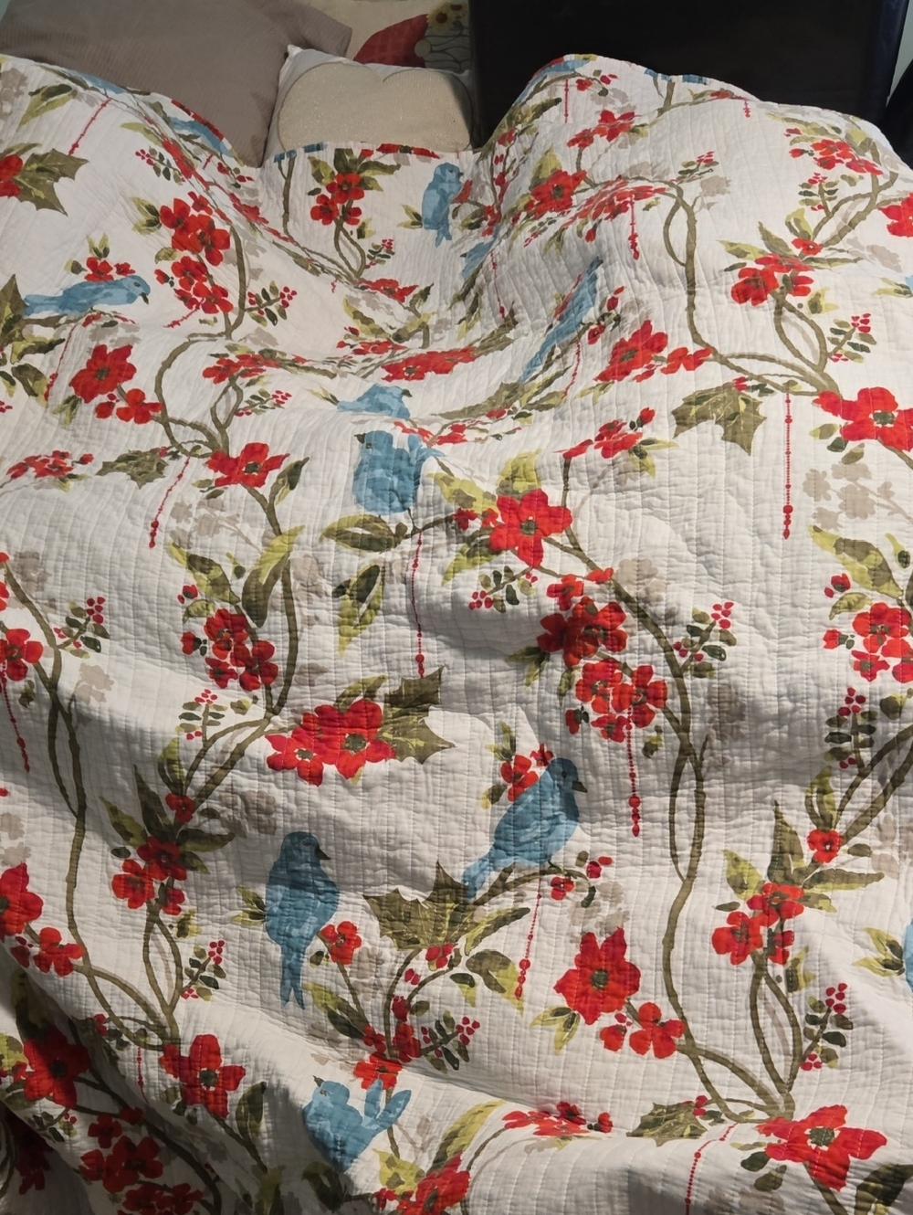 Twin Size Quilted Bird Pattern With Matching Sham Brand New Condition.  (#90)